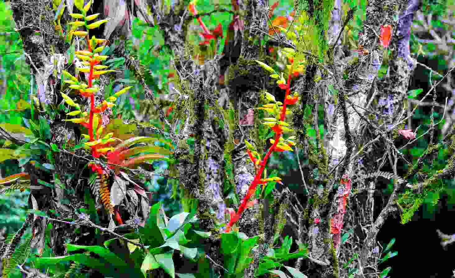 Salient Features of the Biodiversity Act 2002